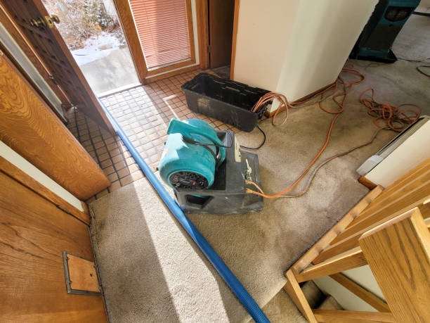 Best Water damage cleanup near me  in Black Creek, WI