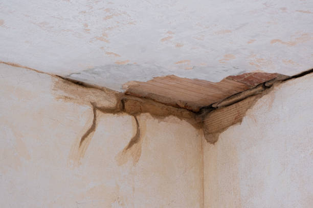 Best Water damage contractors near me  in Black Creek, WI