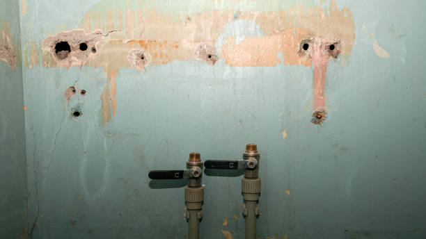 Carpet water damage restoration in WI