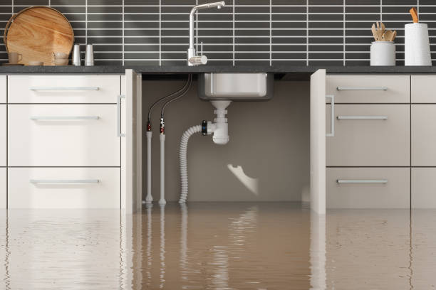 Best Water damage restoration near me  in Black Creek, WI
