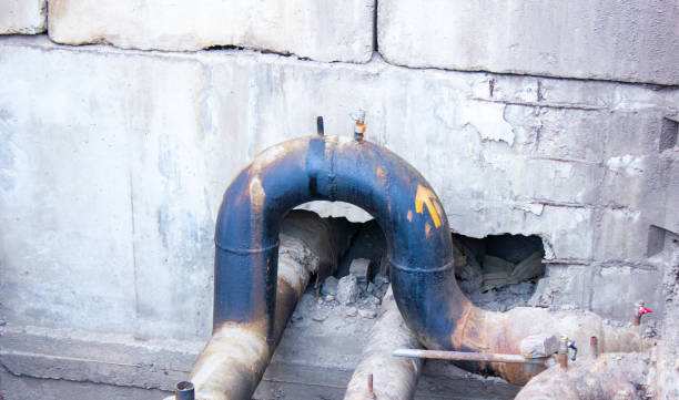 Best Fire Damage Restoration  in Black Creek, WI