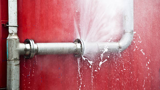 Best Sewage cleanup and water damage restoration  in Black Creek, WI
